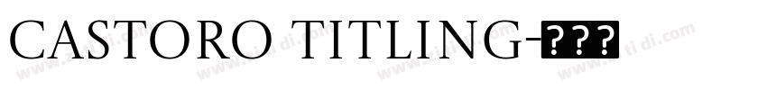 Castoro Titling字体转换